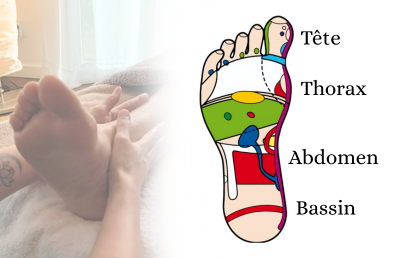 Cartographie du pied en réflexologie plantaire